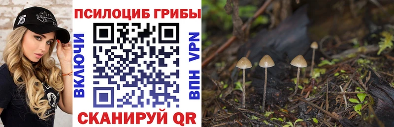 Галлюциногенные грибы MAGIC MUSHROOMS Островной